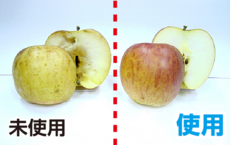 鮮度たもつくん使用効果：30日後でも新鮮なりんご