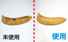 鮮度たもつくん使用効果：8日後でも新鮮なバナナ