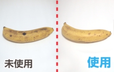 鮮度たもつくん使用効果：8日後でも新鮮なバナナ